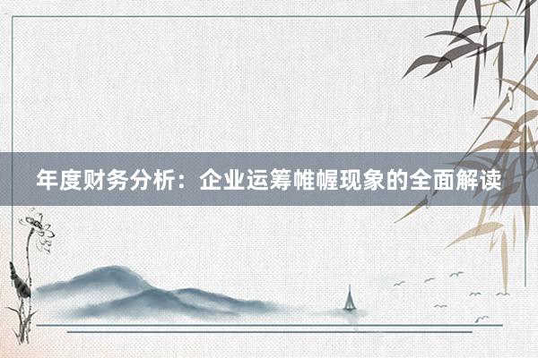 年度财务分析：企业运筹帷幄现象的全面解读