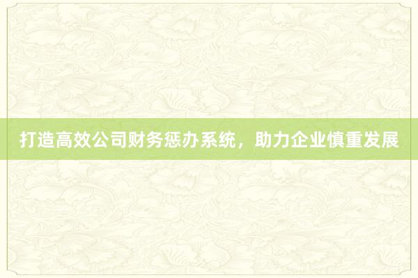 打造高效公司财务惩办系统，助力企业慎重发展