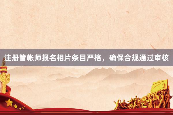 注册管帐师报名相片条目严格，确保合规通过审核