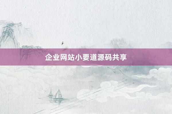 企业网站小要道源码共享