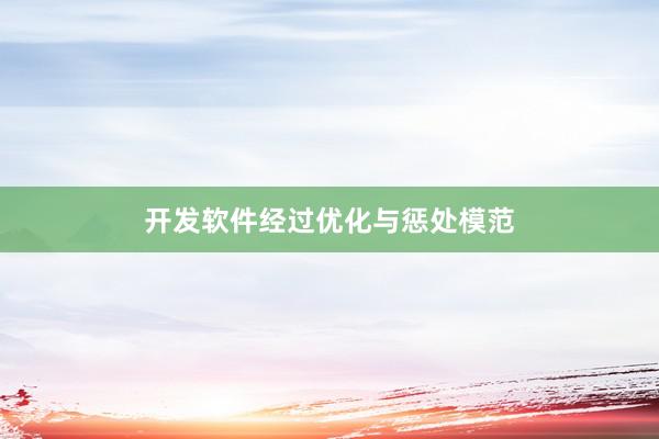 开发软件经过优化与惩处模范